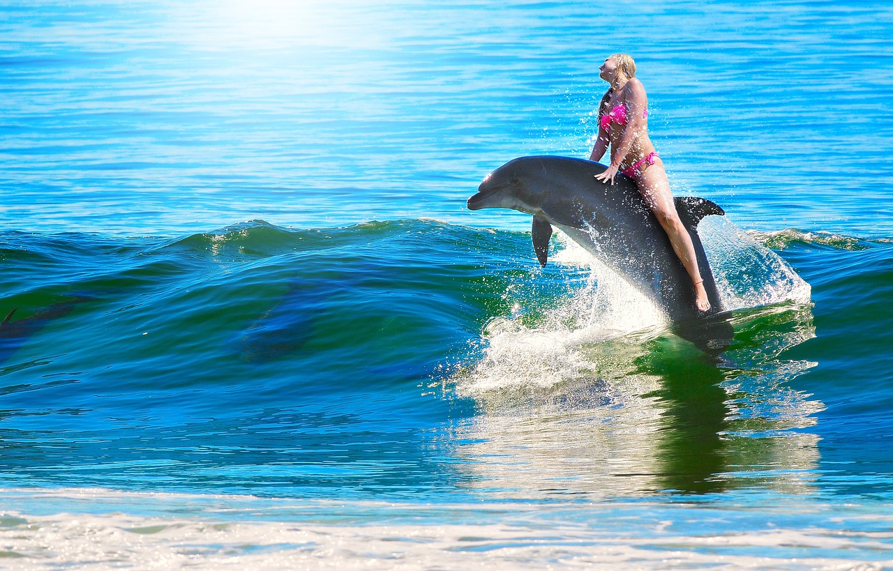 nuotare con i delfini alle isole Hawaii